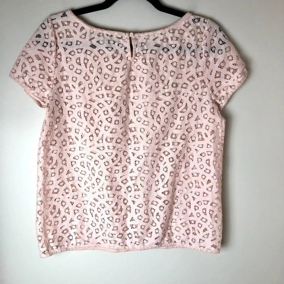 LOFT | Blush Pink Eyelet Short Sleeve Top - Picture 5 of 5